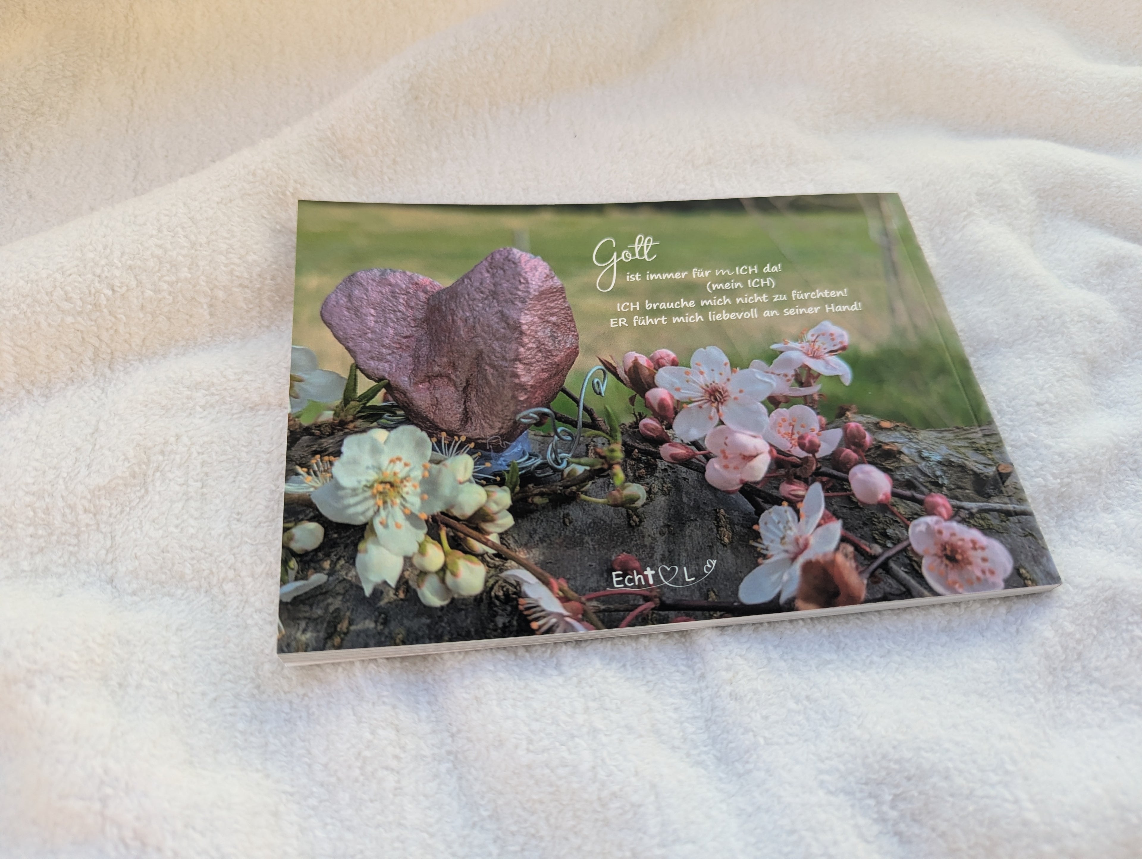 Mit meinem Herzschmerz zu Gott - Buch