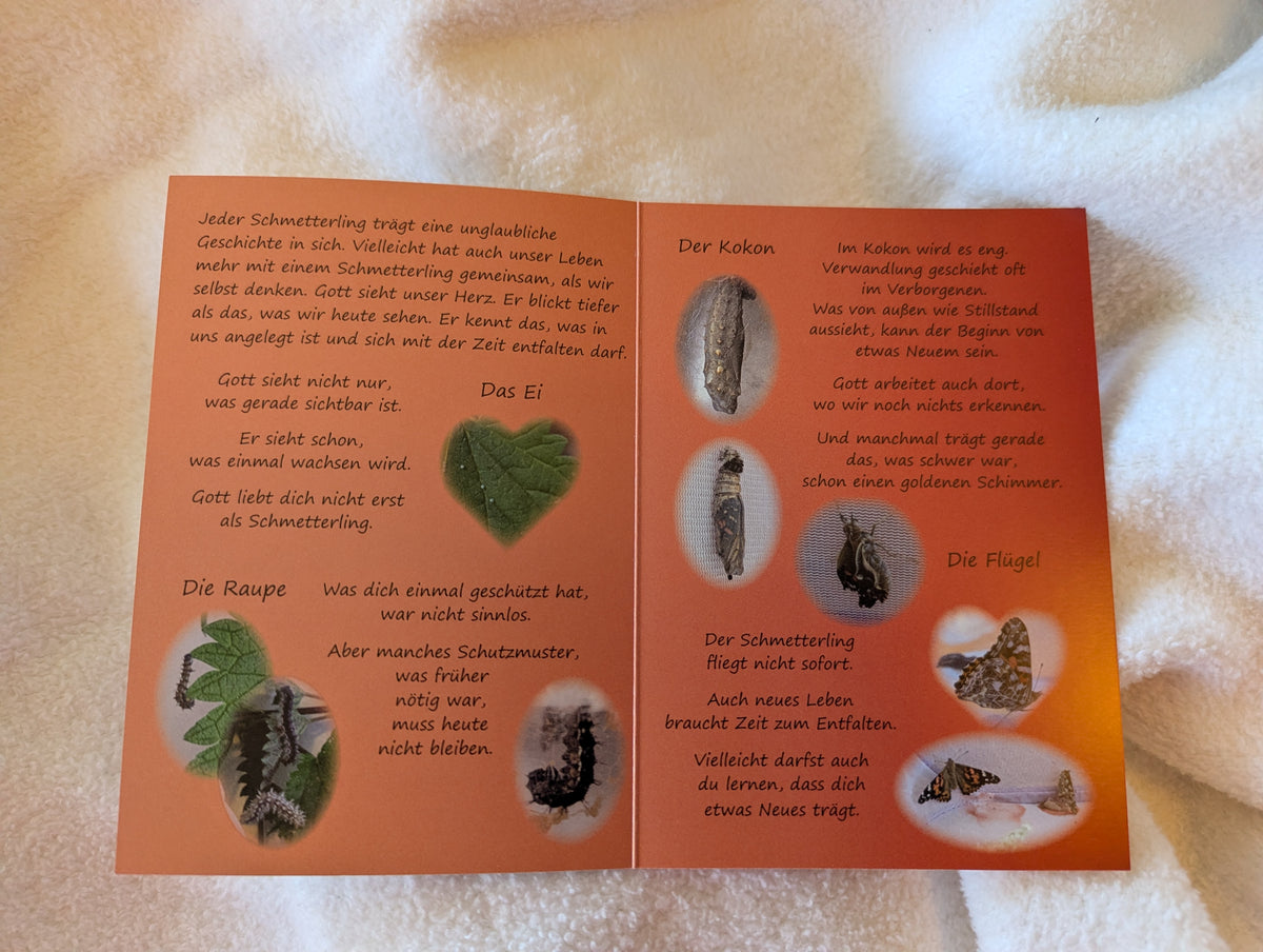 Der Schmetterling und ich – Christliche Klappkarte zur Ermutigung