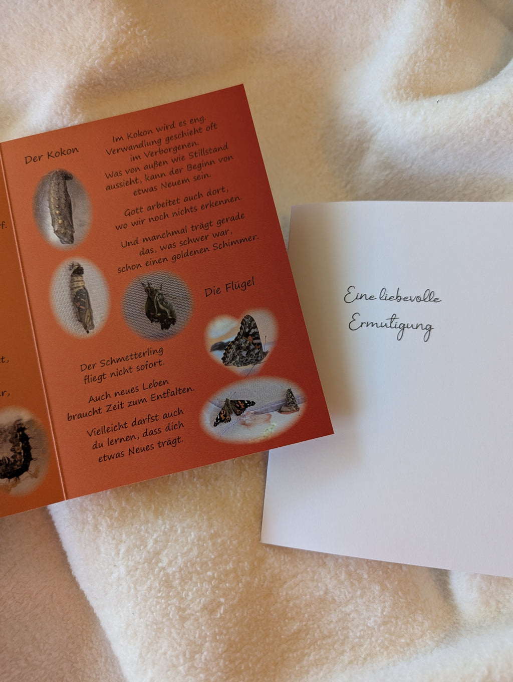 Der Schmetterling und ich – Christliche Klappkarte zur Ermutigung