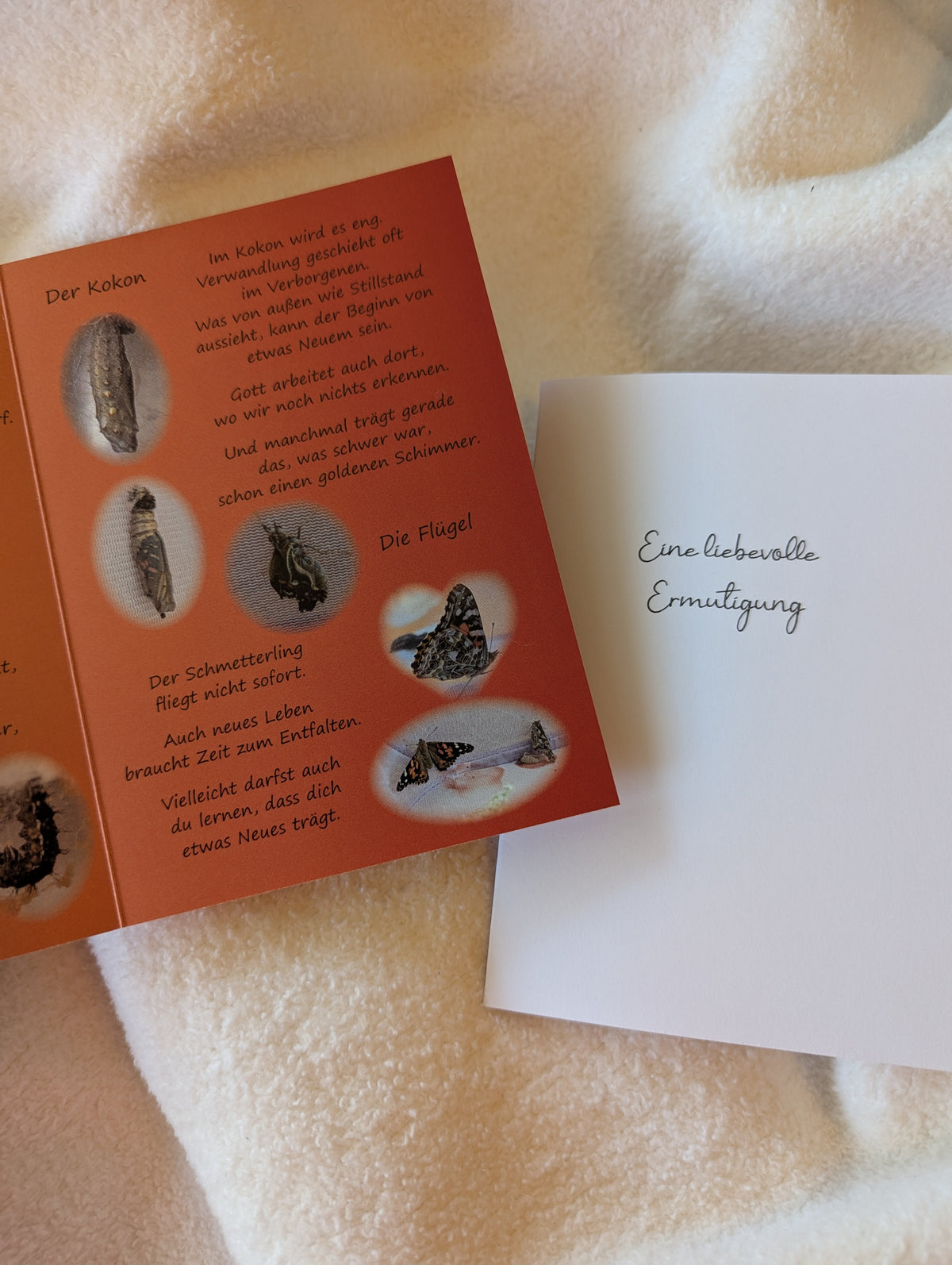 Der Schmetterling und ich – Christliche Klappkarte zur Ermutigung