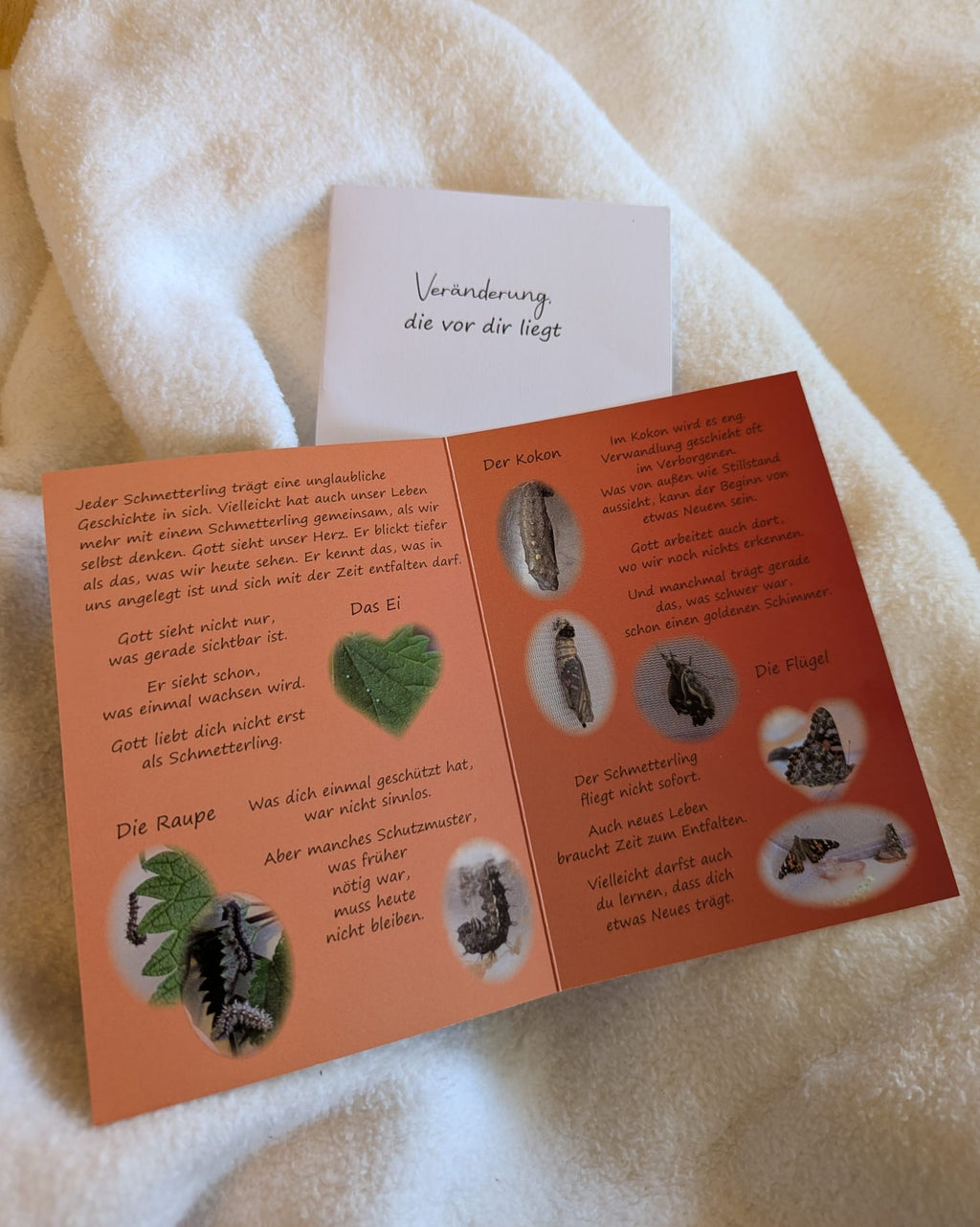 Der Schmetterling und ich – Christliche Klappkarte zur Ermutigung